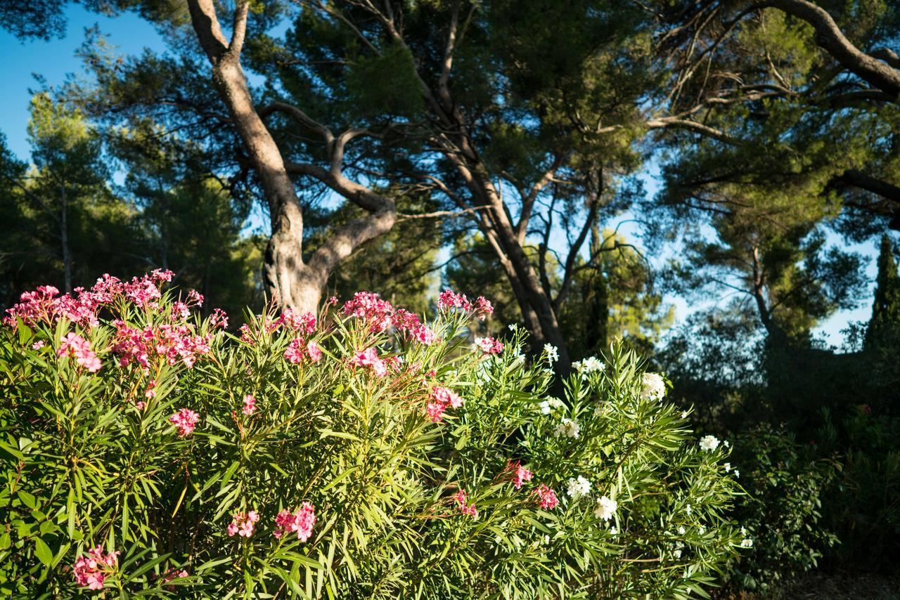 Domaine De Saint Clair Bed & Breakfast Aix-en-Provence Exterior photo